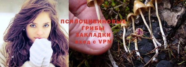 шишки Алексеевка