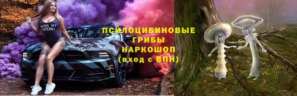 шишки Алексеевка