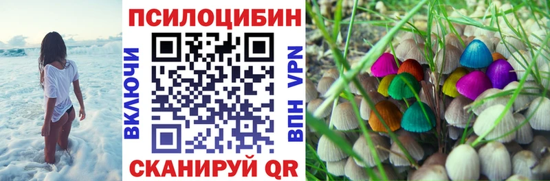 хочу наркоту Жуковка Псилоцибиновые грибы мухоморы